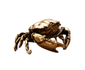 Brass Crab Statue for Gift-Brass Color